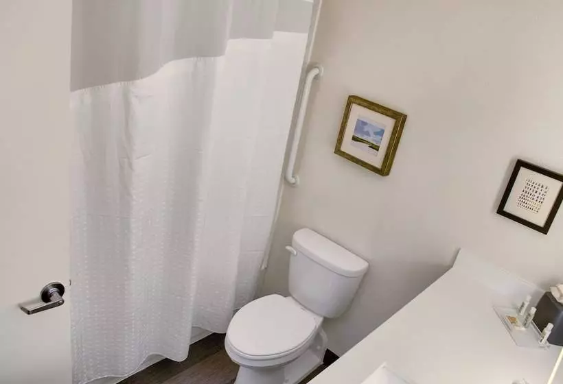 ２ダブルベッドのスタンダードルーム, Holiday Inn Mobile West I 10, An Ihg