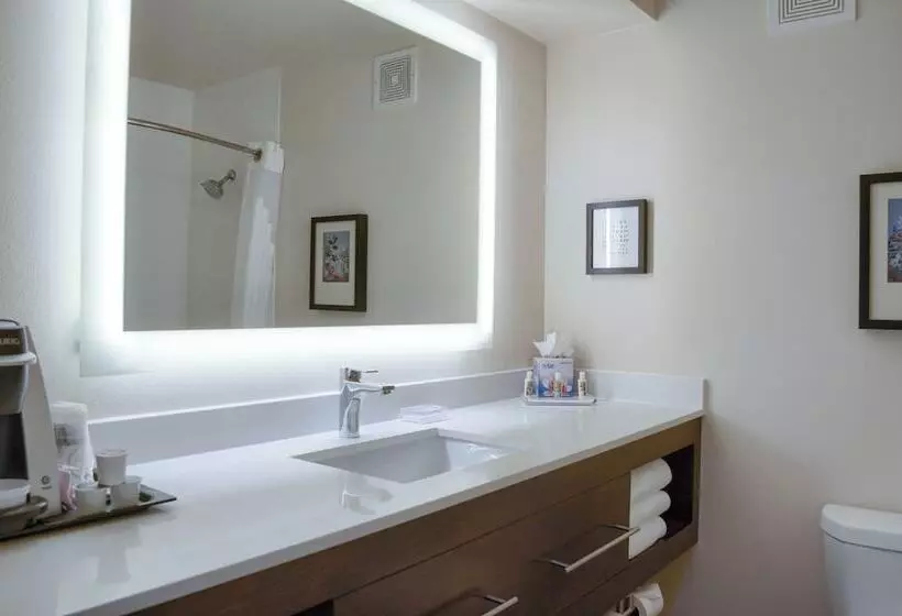 ２ダブルベッドのスタンダードルーム, Holiday Inn Mobile West I 10, An Ihg