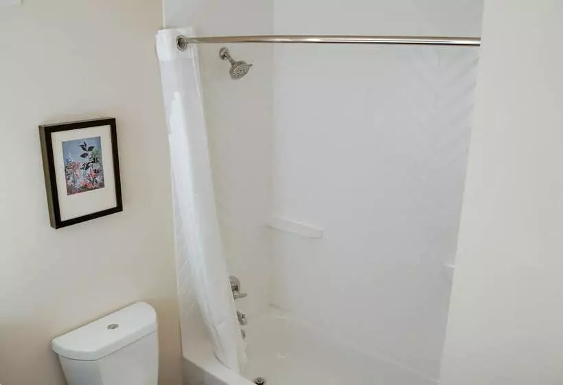 ２ダブルベッドのスタンダードルーム, Holiday Inn Mobile West I 10, An Ihg