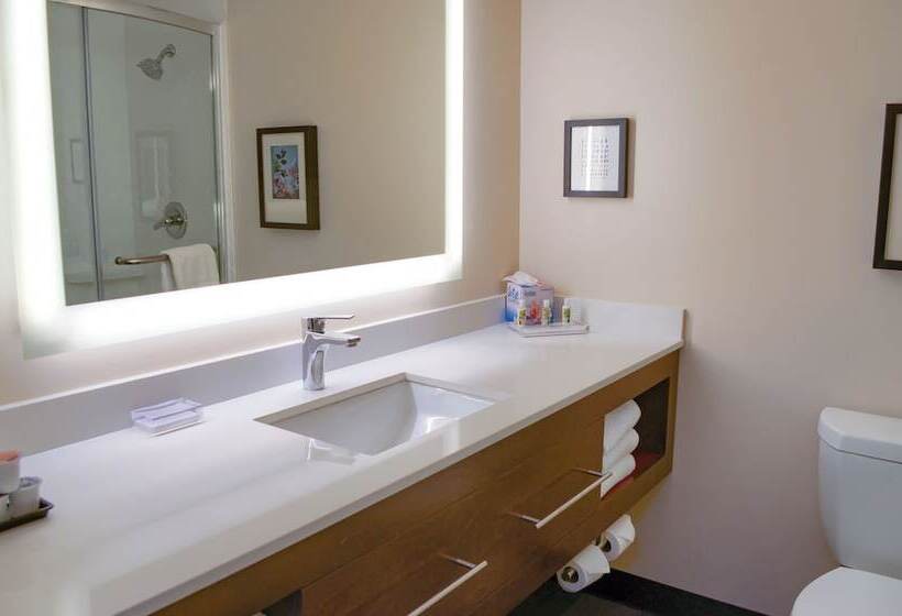 Номер Стандарт 2 Двуспальные Кровати, Holiday Inn Mobile West I 10, An Ihg