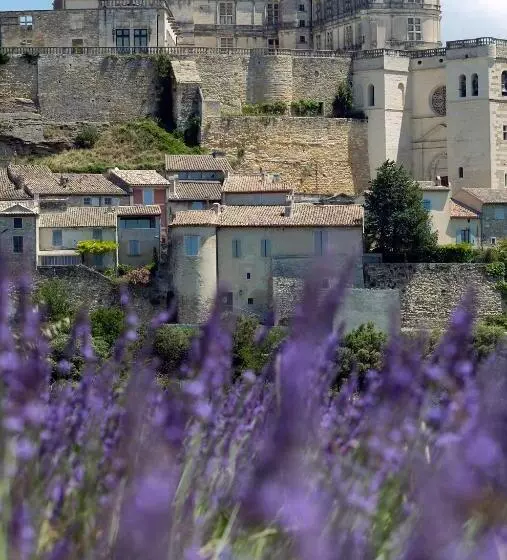 ベーシックルーム, Le Clair De La Plume   Teritoria