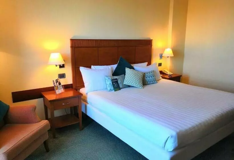 اتاق استاندارد برای معلولان, Mercure Leonardo Da Vinci Rome Airport