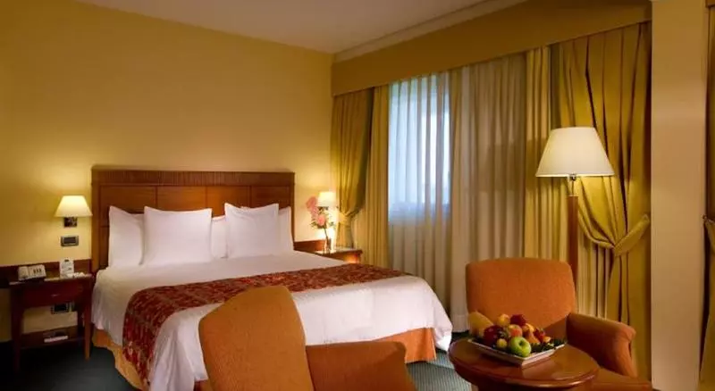 اتاق استاندارد, Mercure Leonardo Da Vinci Rome Airport