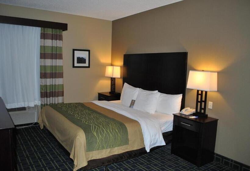 キングサイズベッドのスタンダードルーム, Quality Inn