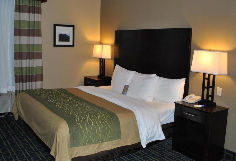 Стандартный Номер Кровать Кинг, Quality Inn
