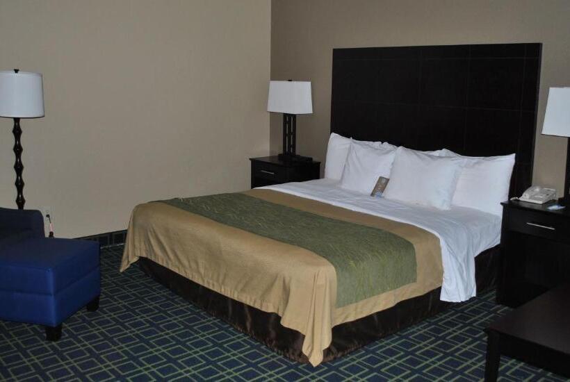 キングサイズベッドのスタンダードルーム, Quality Inn