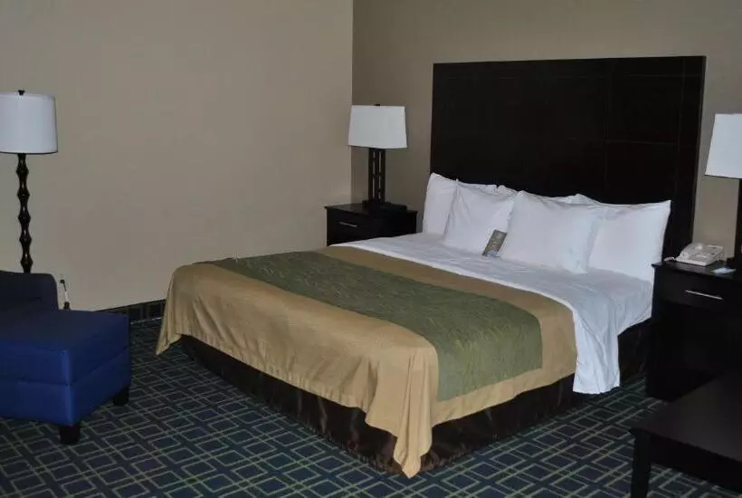 キングサイズベッドのスタンダードルーム, Quality Inn
