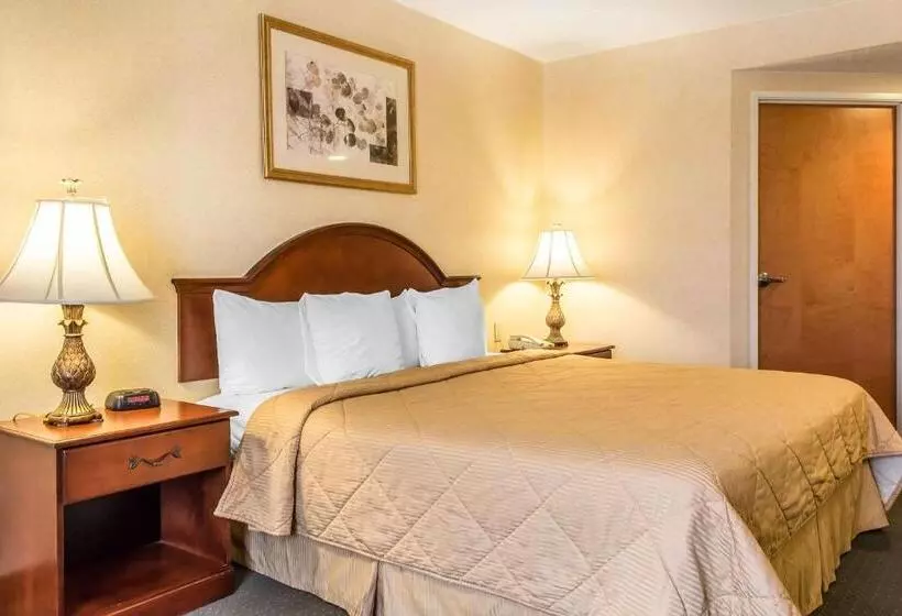 キングサイズベッドのスタンダードルーム, Quality Inn Hackettstown   Long Valley
