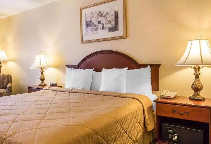キングサイズベッドのスタンダードルーム, Quality Inn Hackettstown   Long Valley