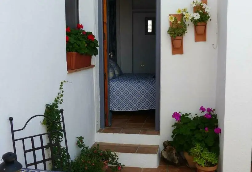 庭の見えるシングルルーム, Casita De La Vaca