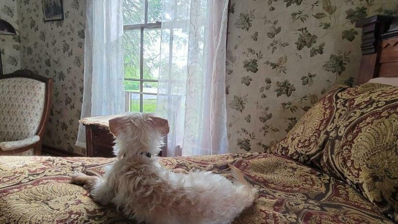 غرفة ديلوكس, Sewall House Yoga Retreat