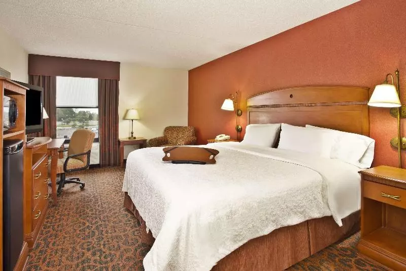 キングサイズベッドのスタンダードルーム, Hampton Inn Anderson