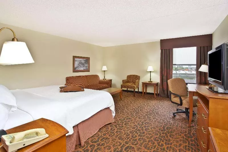 キングサイズベッドのデラックスルーム, Hampton Inn Anderson