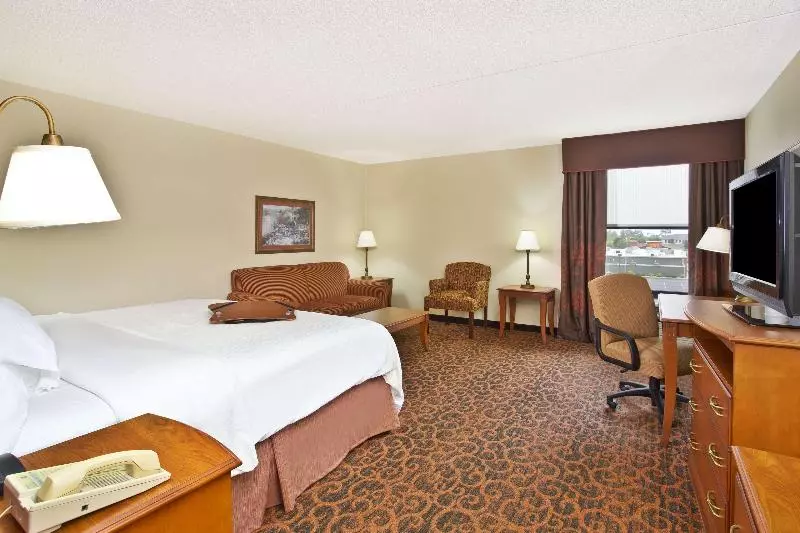 キングサイズベッドのデラックスルーム, Hampton Inn Anderson