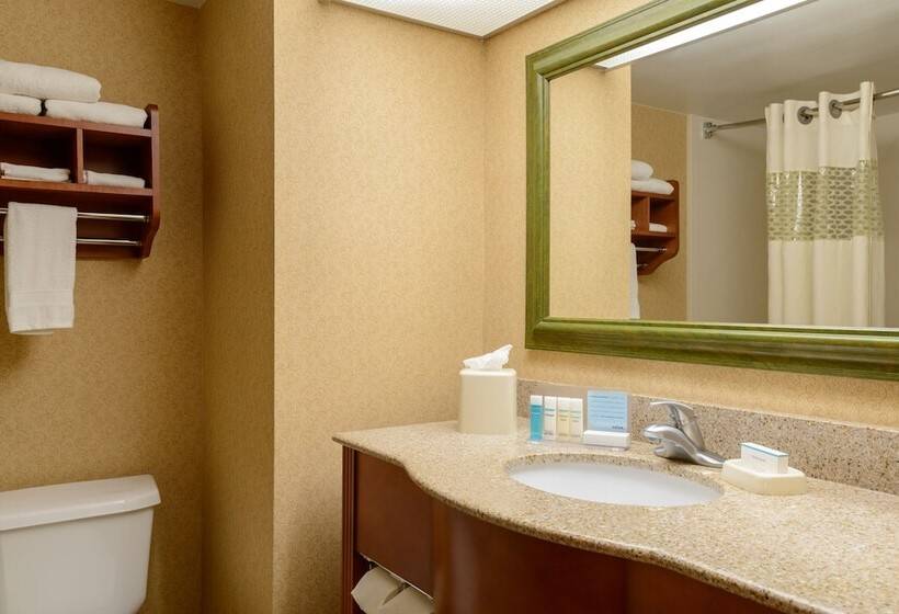 带2个双人床的标准工作室, Hampton Inn Anderson
