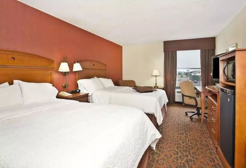 ２ダブルベッドのスタンダードルーム, Hampton Inn Anderson