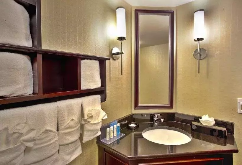 身障者適用キングサイズベッドルーム, Hampton Inn Bowie
