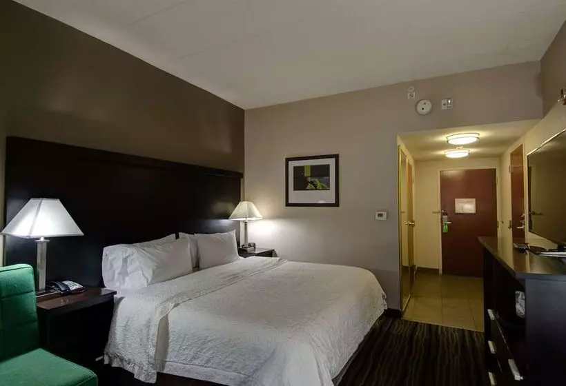 身障者適用キングサイズベッドルーム, Hampton Inn Bowie