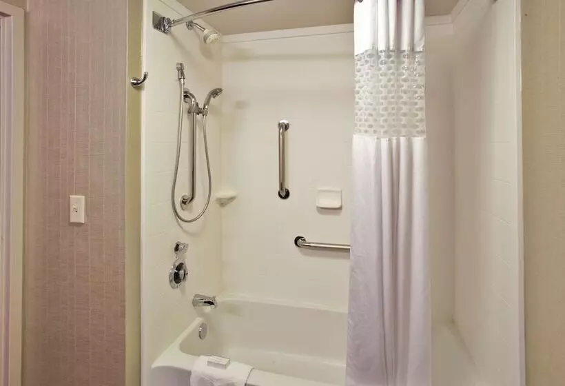 身障者適用キングサイズベッドルーム, Hampton Inn Bowie