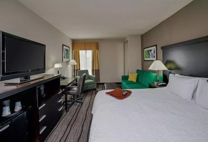 身障者適用キングサイズベッドルーム, Hampton Inn Bowie