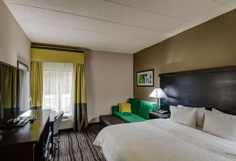 身障者適用キングサイズベッドルーム, Hampton Inn Bowie