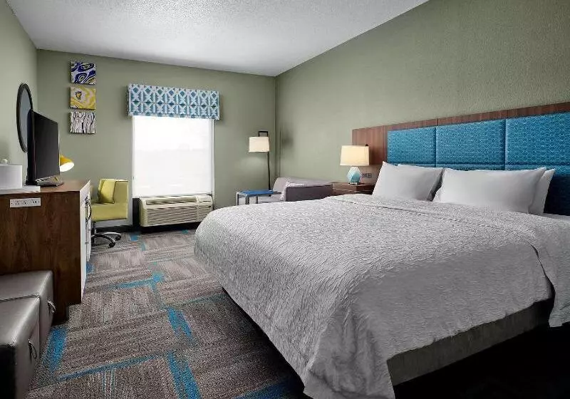 キングサイズベッドのスタンダードルーム, Hampton Inn Covington