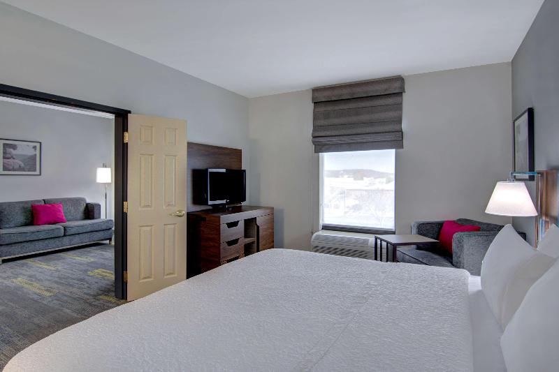 جناح سرير كينج, Hampton Inn Fayetteville