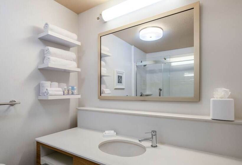 غرفة قياسية سرير كينج, Hampton Inn By Hilton Irvine East   Lake Forest