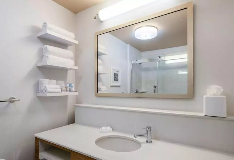 اتاق استاندارد با تخت بزرگ, Hampton Inn By Hilton Irvine East   Lake Forest