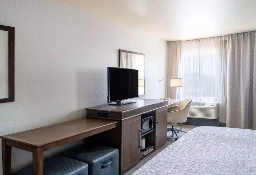 اتاق استاندارد با تخت بزرگ, Hampton Inn By Hilton Irvine East   Lake Forest