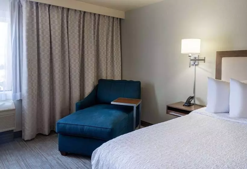 اتاق استاندارد با تخت بزرگ, Hampton Inn By Hilton Irvine East   Lake Forest