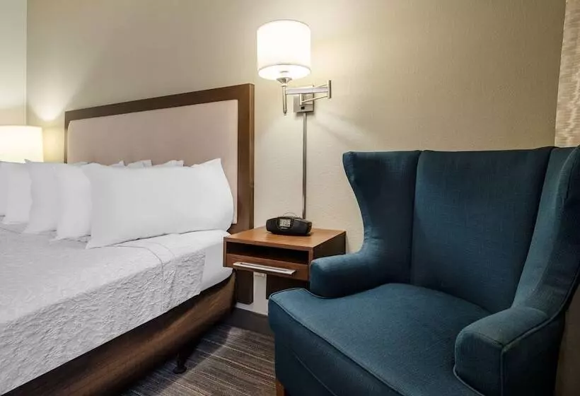 اتاق استاندارد با تخت بزرگ, Hampton Inn By Hilton Irvine East   Lake Forest