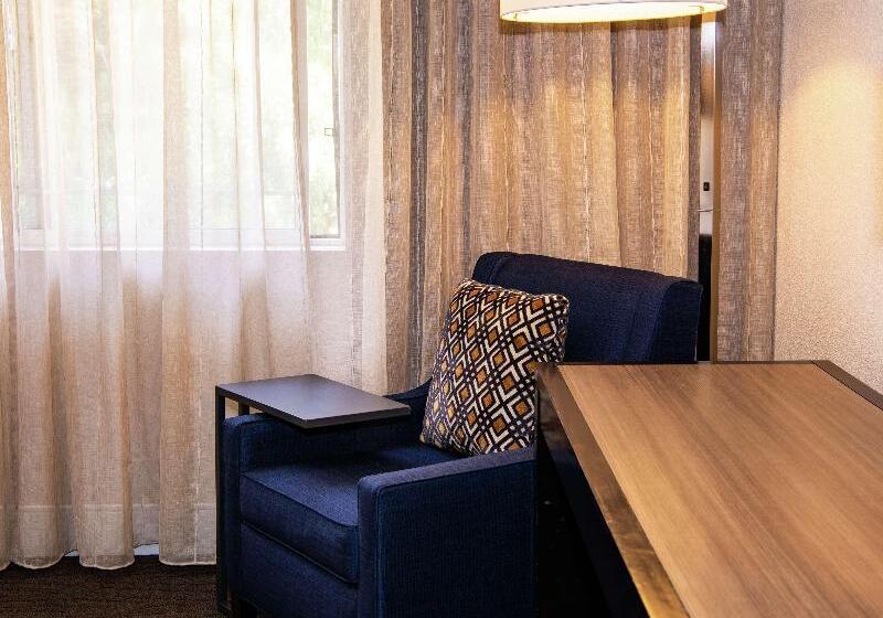 Номер Стандарт, Hampton Inn By Hilton Irvine East   Lake Forest