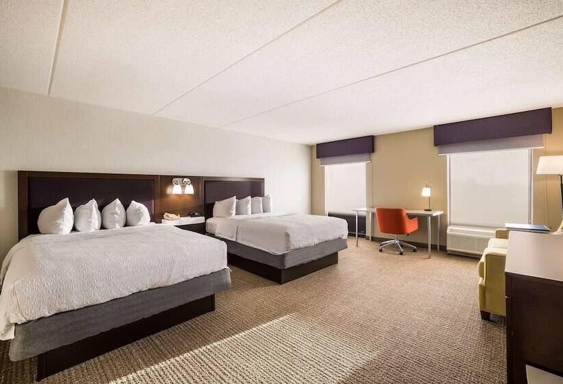 デラックスルーム, Hampton Inn Mchenry