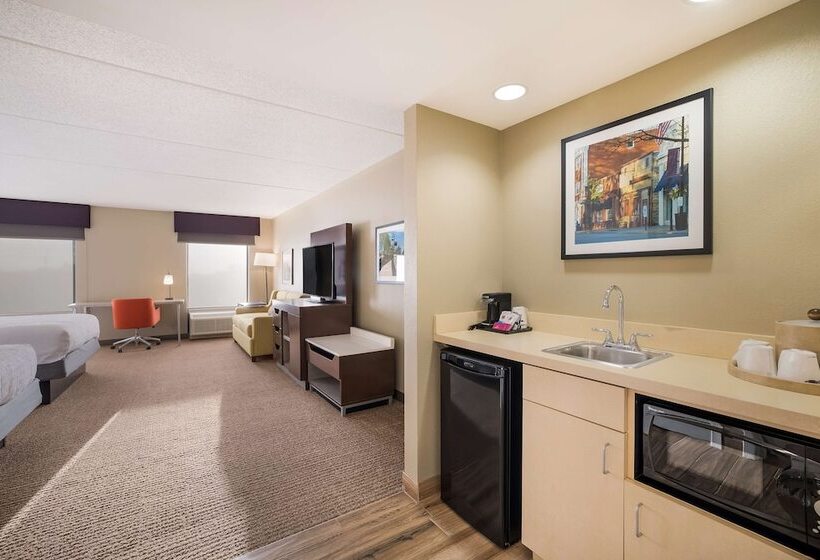 デラックスルーム, Hampton Inn Mchenry