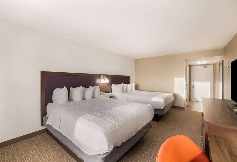 身障者適用スタンダードルーム, Hampton Inn Mchenry