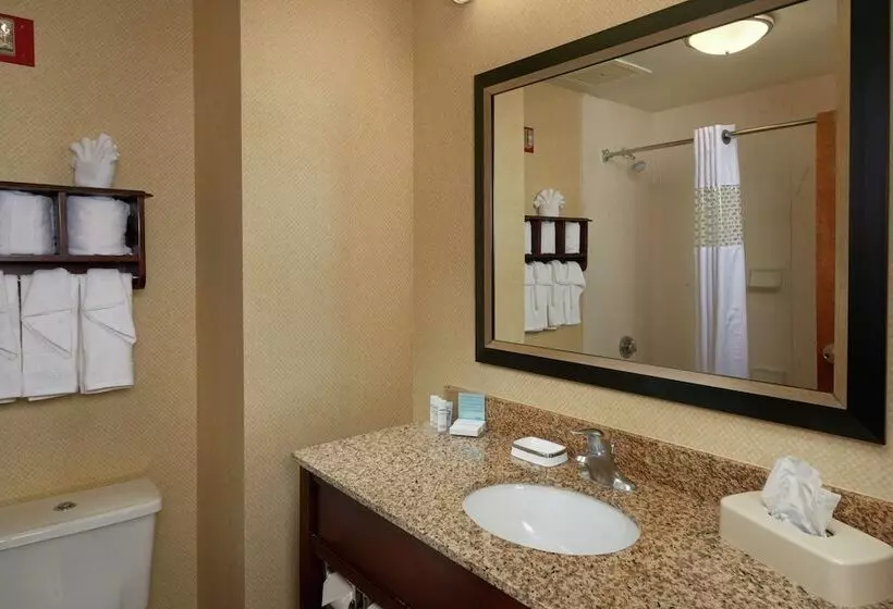 اتاق استاندارد با 2 تخت دوبل, Hampton Inn Newport Newsyorktown