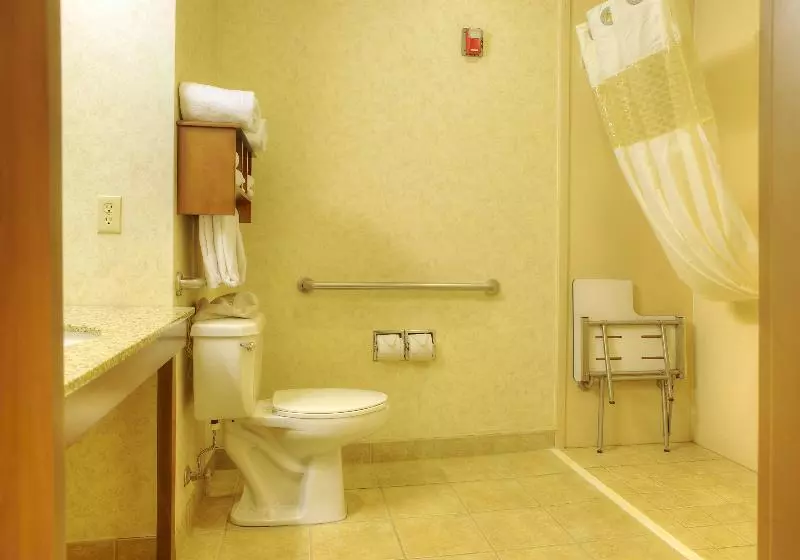 キングサイズベッドのスタンダードルーム, Comfort Inn & Suites Rapid City Near Mt Rushmore