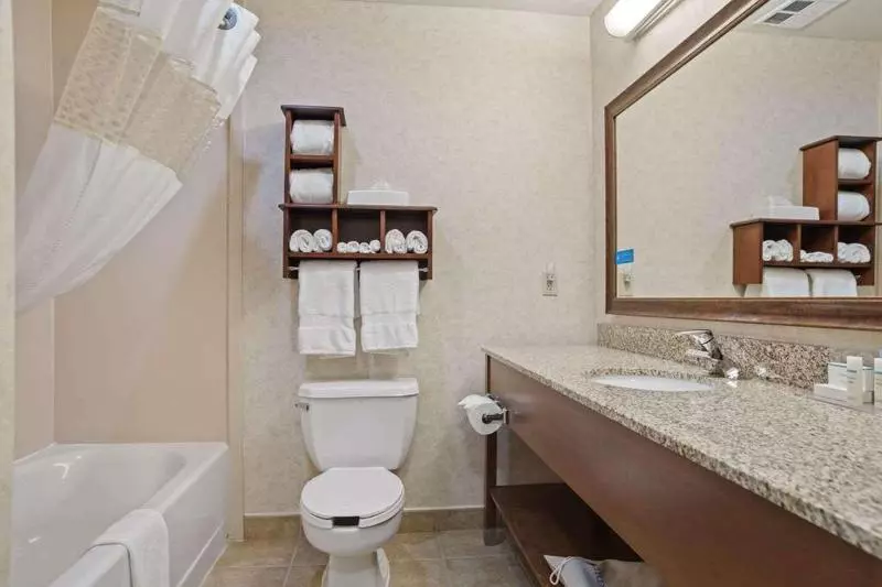 キングサイズベッドのスタンダードルーム, Comfort Inn & Suites Rapid City Near Mt Rushmore