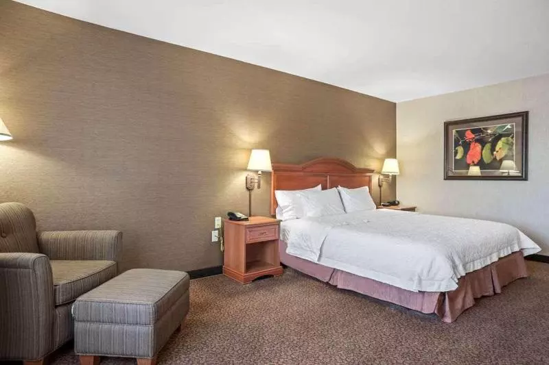キングサイズベッドのスタンダードルーム, Comfort Inn & Suites Rapid City Near Mt Rushmore