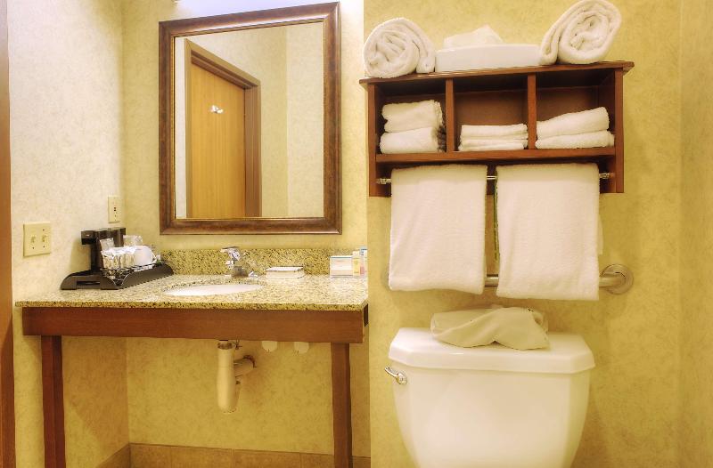 חדר סטנדרט עם מיטת קינג, Comfort Inn & Suites Rapid City Near Mt Rushmore