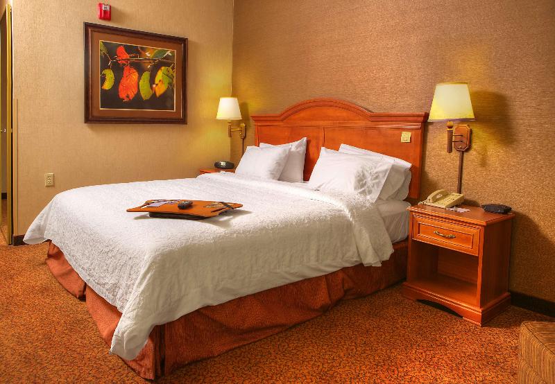 חדר סטנדרט עם מיטת קינג, Comfort Inn & Suites Rapid City Near Mt Rushmore