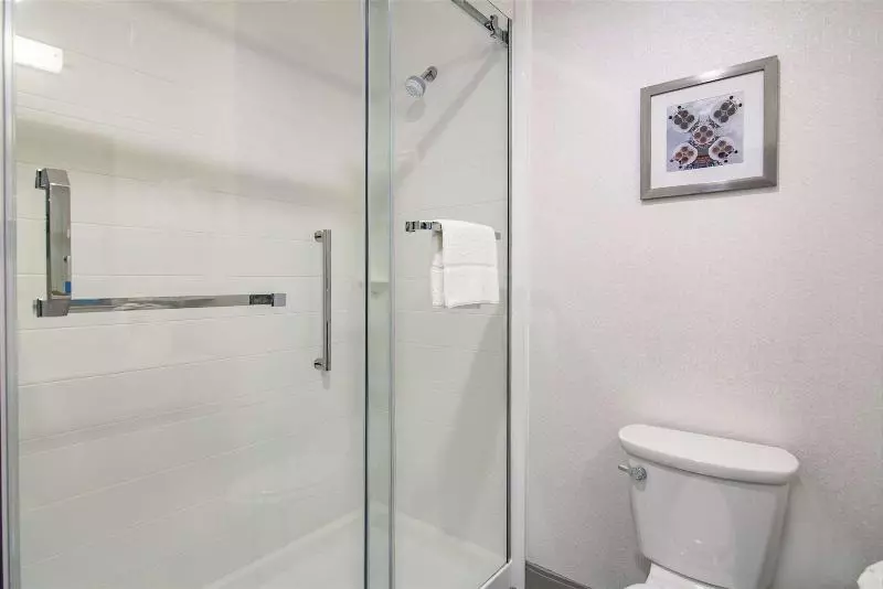 キングサイズベッドのスタンダードルーム, Hampton Inn Houston Nasa Johnson Space Center