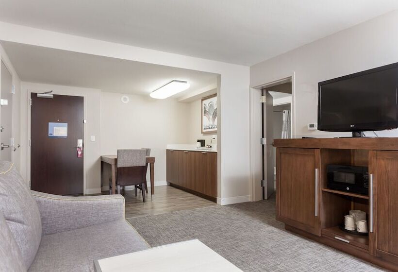 带大床的套房, Hampton Inn & Suites Dallasdfw Airport Northgrapevine