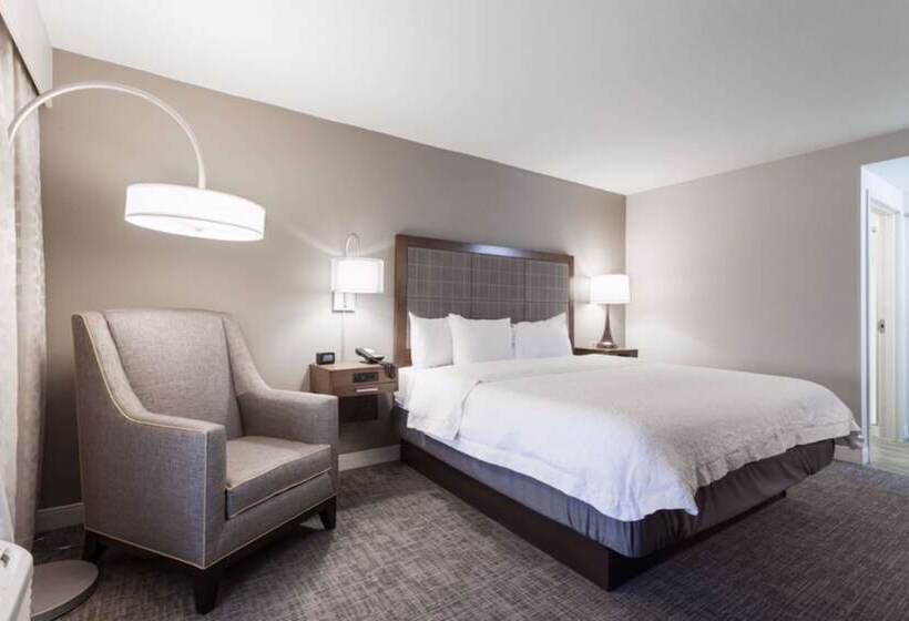 Suite Lit King, Hampton Inn & Suites Dallasdfw Airport Northgrapevine