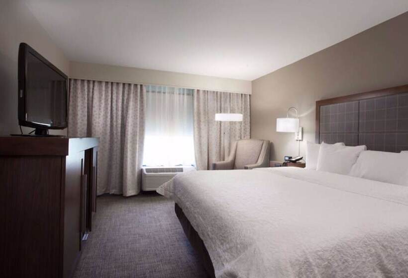 带大床的套房, Hampton Inn & Suites Dallasdfw Airport Northgrapevine