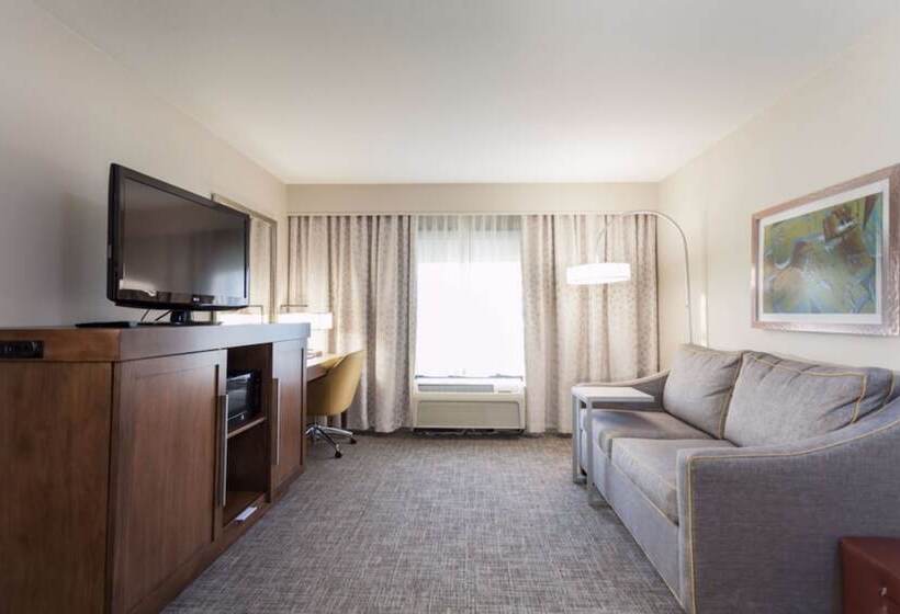 מיטת קינג בסוויטה, Hampton Inn & Suites Dallasdfw Airport Northgrapevine