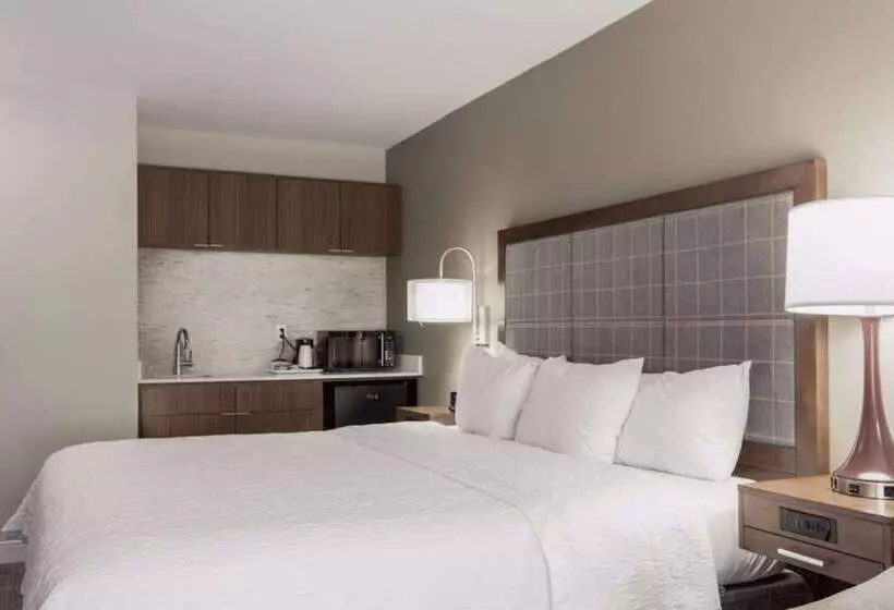 Standard-studio King-vuode, Hampton Inn & Suites Dallasdfw Airport Northgrapevine