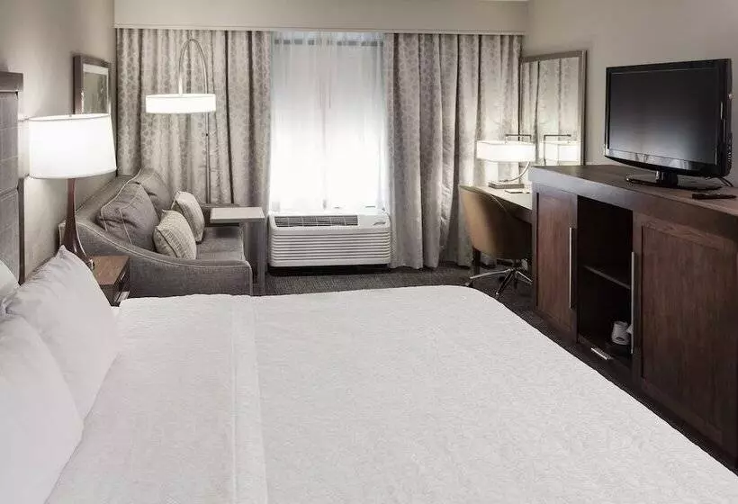 Standard-studio King-vuode, Hampton Inn & Suites Dallasdfw Airport Northgrapevine