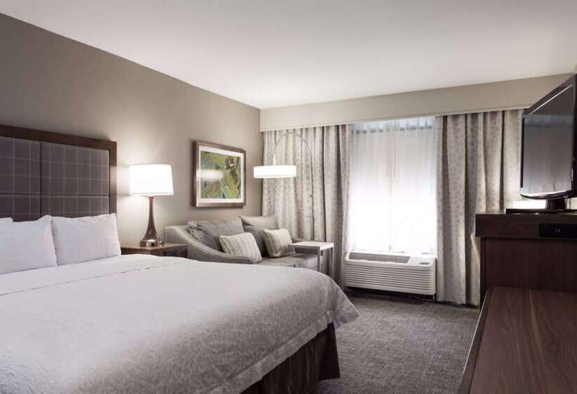 Studio Standard Lit King Size, Hampton Inn & Suites Dallasdfw Airport Northgrapevine